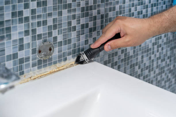Best Attic Mold Removal  in Aliquip, PA