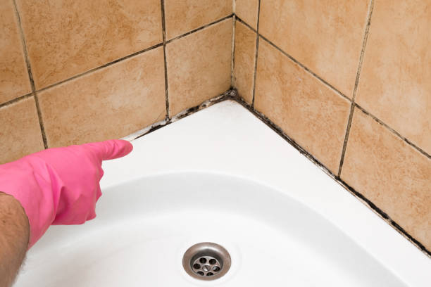 Best Crawl Space Mold Removal  in Aliquip, PA